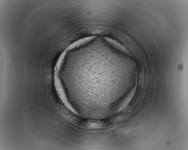 X0000100970510200807221213