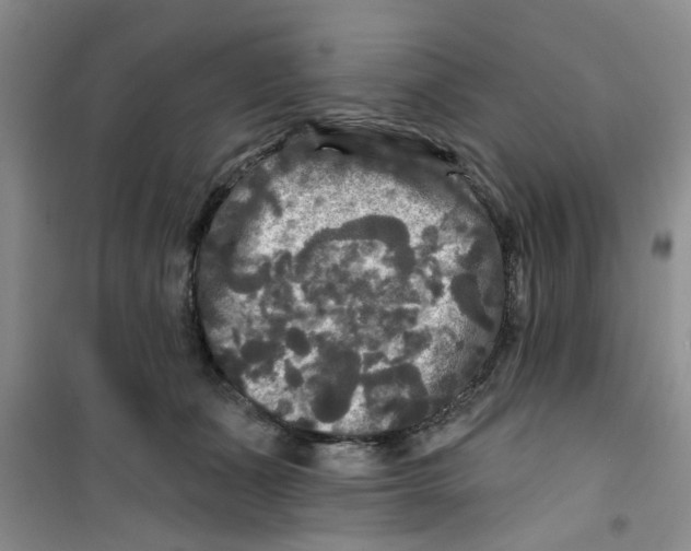 X0000100970511200807221213