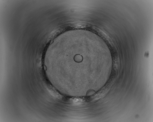 X0000100970512200807221213