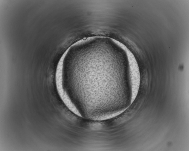 X0000100970513200807221213