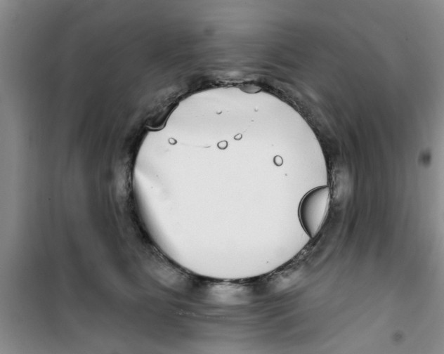 X0000100970515200807221213
