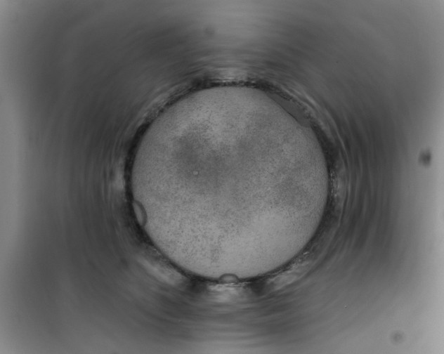 X0000100970516200807221213