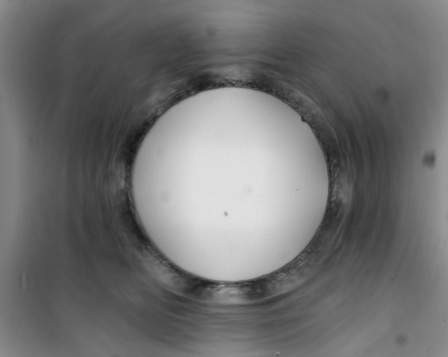 X0000100970518200807221213