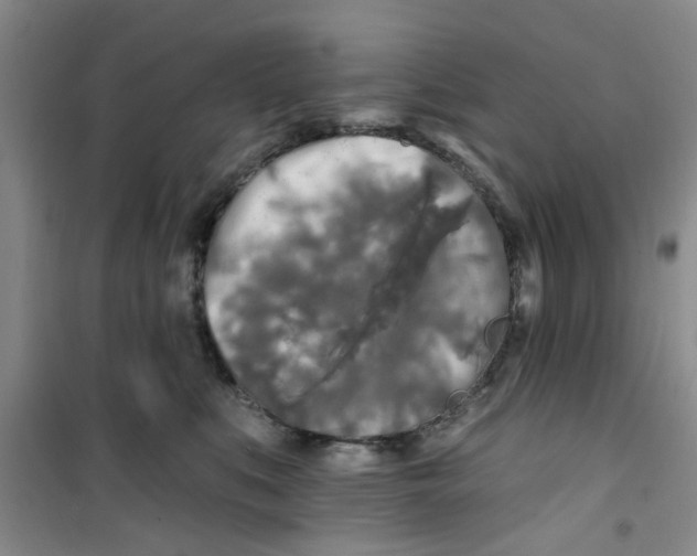 X0000100970519200807221213