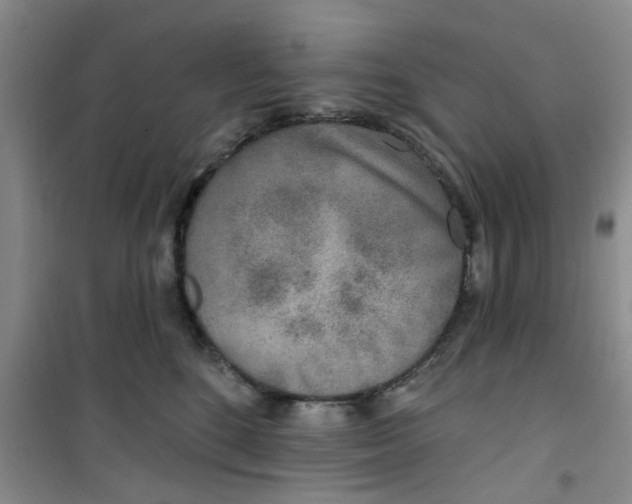X0000100970520200807221213
