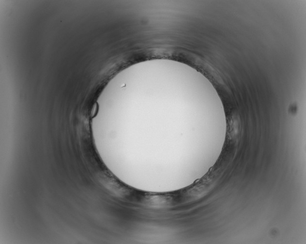 X0000100970522200807221213