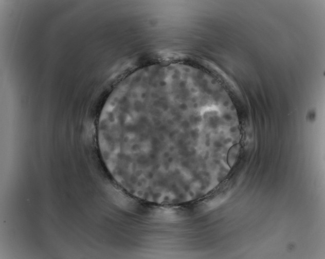 X0000100970523200807221213