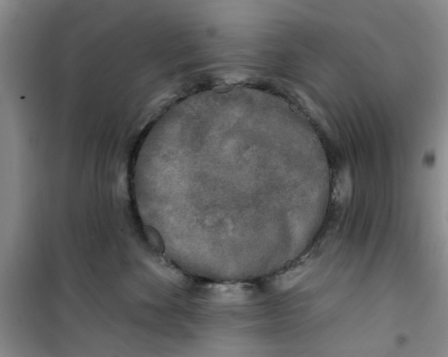 X0000100970524200807221213