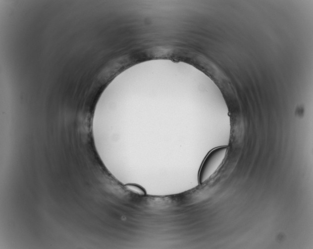 X0000100970525200807221213