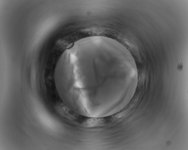 X0000100970526200807221213