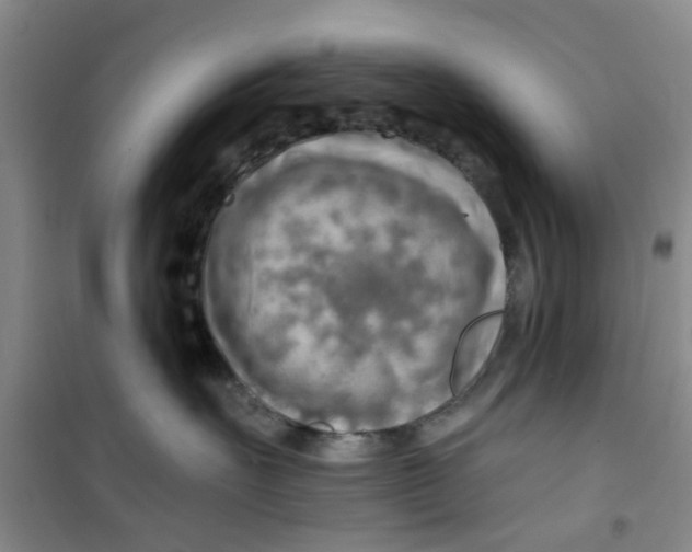 X0000100970527200807221212