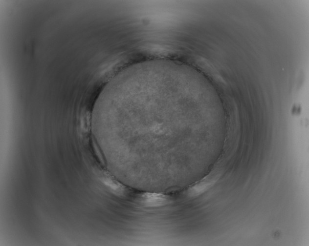 X0000100970528200807221212