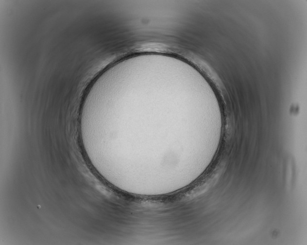 X0000100970529200807221212