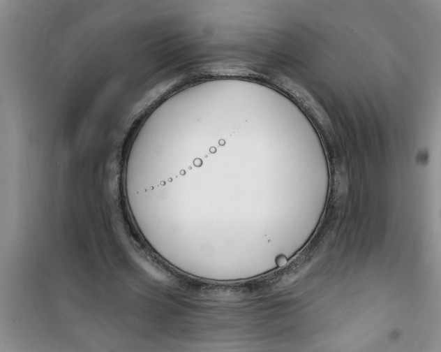 X0000100970533200807221212