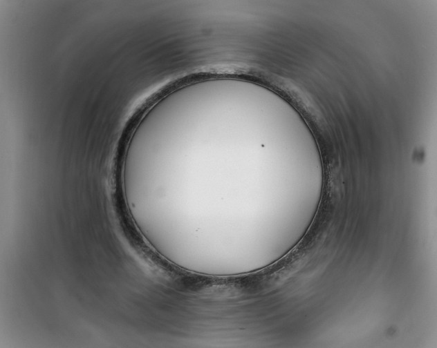 X0000100970536200807221212