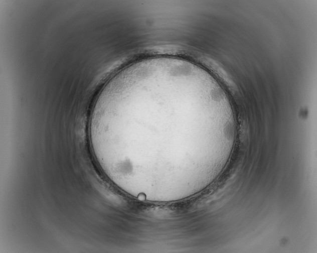 X0000100970537200807221212