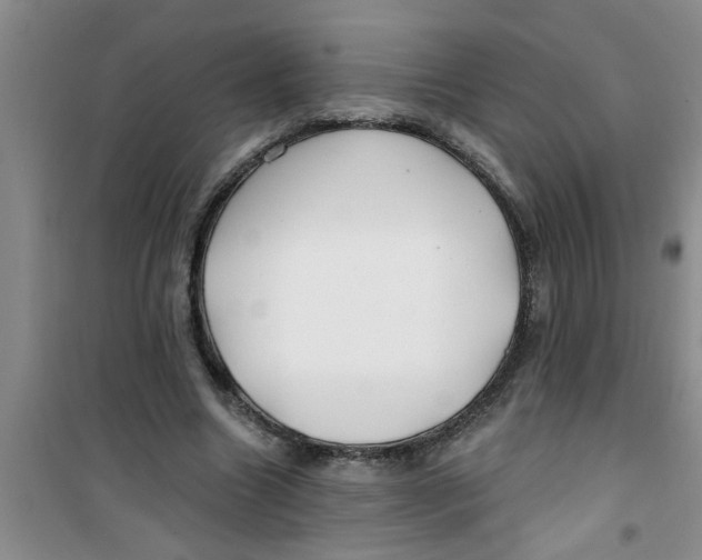 X0000100970538200807221212