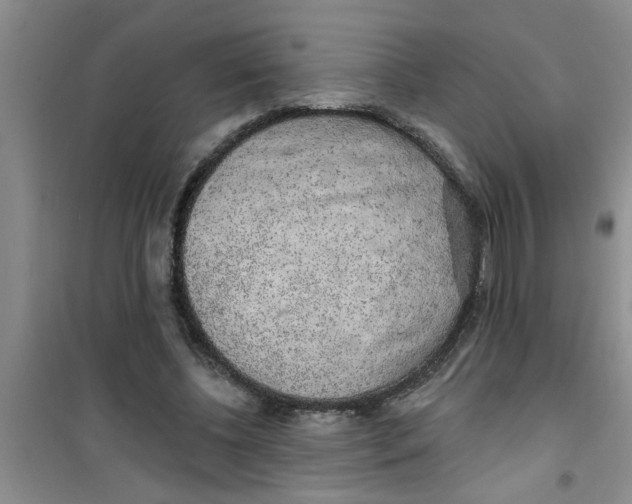X0000100970540200807221212