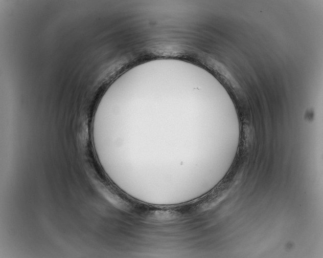 X0000100970541200807221212