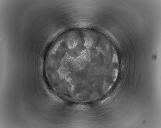 X0000100970542200807221212