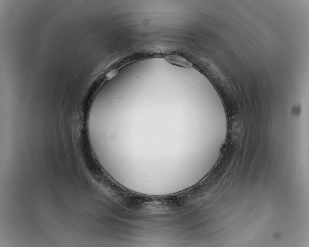 X0000100970544200807221212
