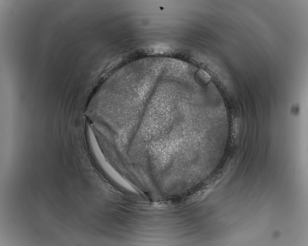 X0000100970545200807221212