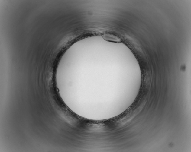 X0000100970548200807221212
