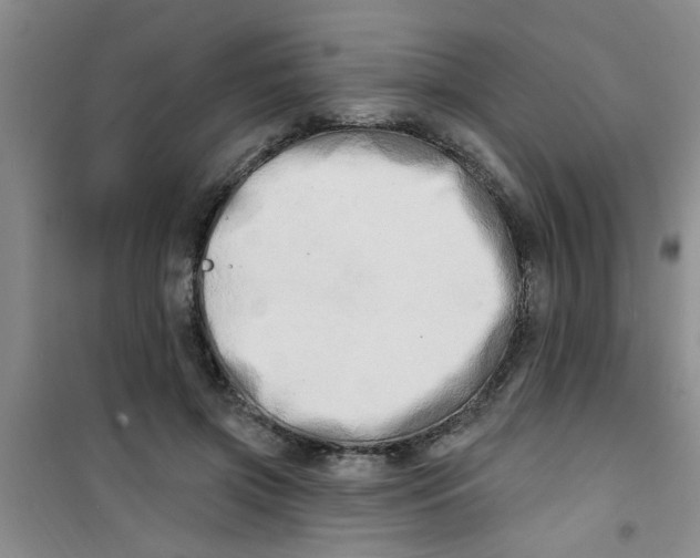 X0000100970549200807221212