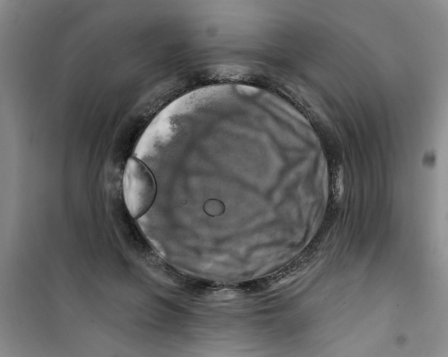 X0000100970551200807221212