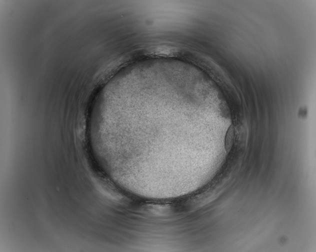 X0000100970552200807221212