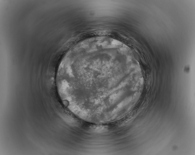 X0000100970553200807221212