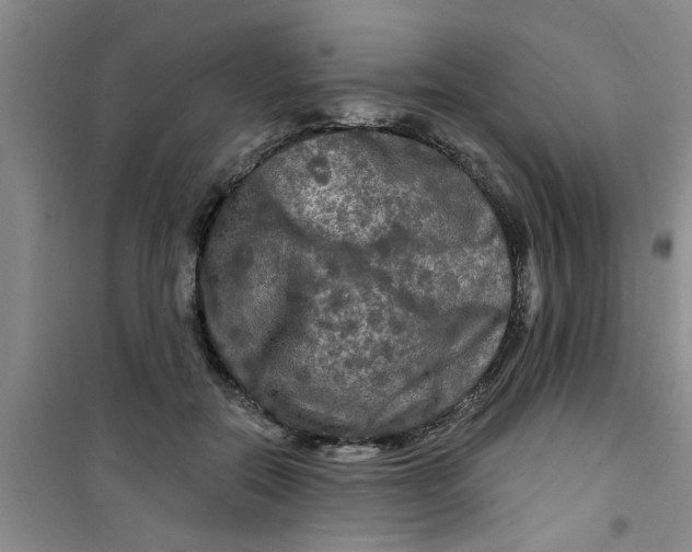 X0000100970554200807221212