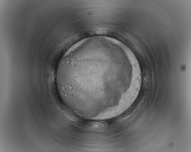 X0000100970555200807221212
