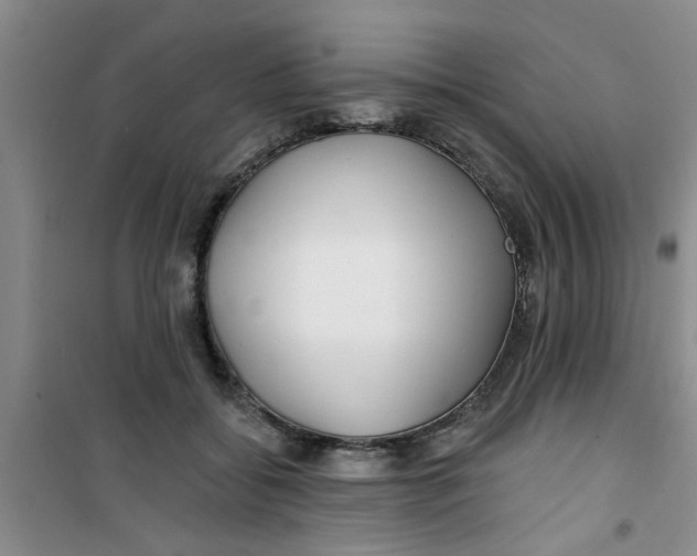 X0000100970556200807221212