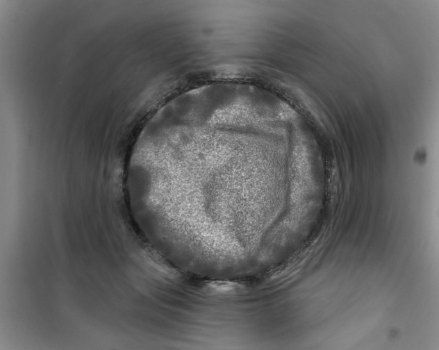 X0000100970557200807221212