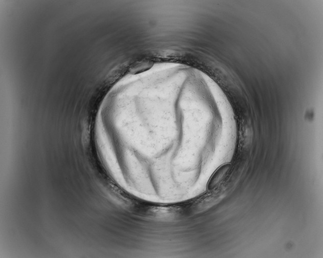 X0000100970558200807221212
