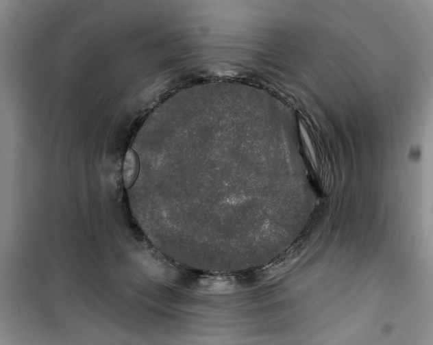 X0000100970559200807221212