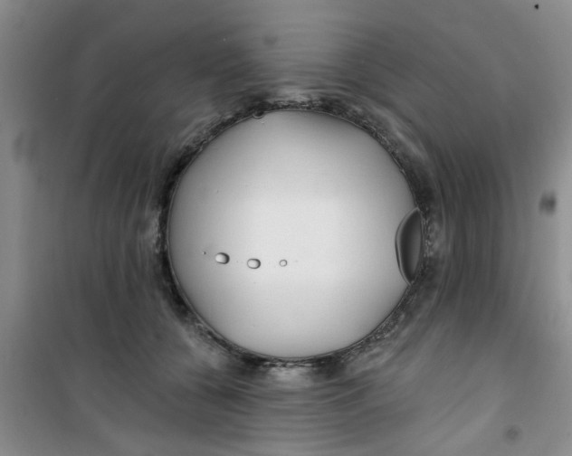 X0000100970560200807221212