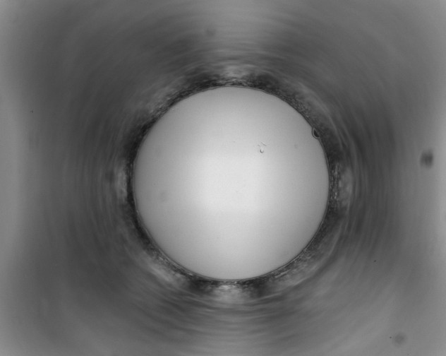 X0000100970562200807221212