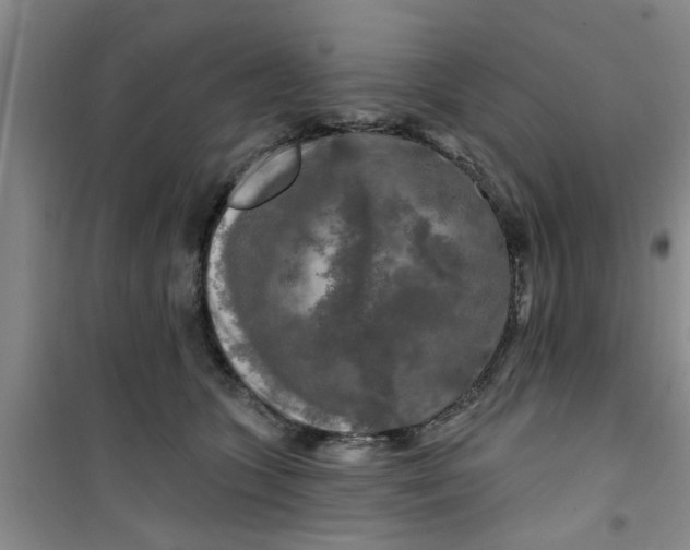 X0000100970563200807221212