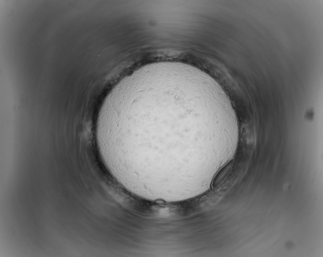 X0000100970564200807221212