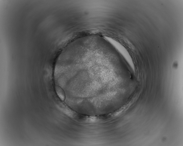X0000100970565200807221212