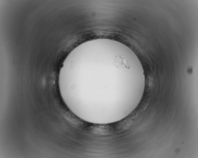 X0000100970567200807221212