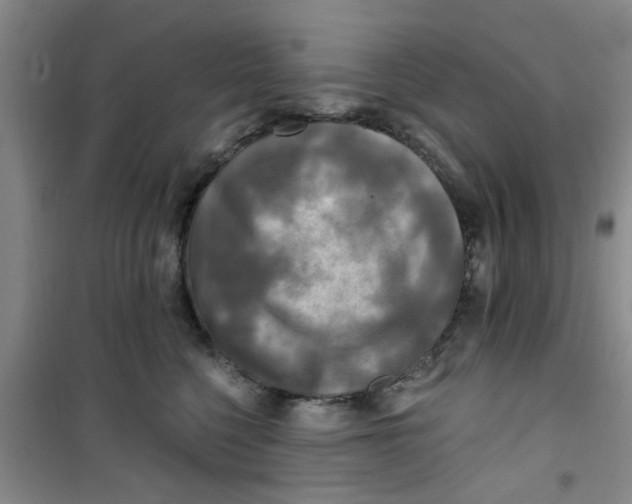 X0000100970568200807221212