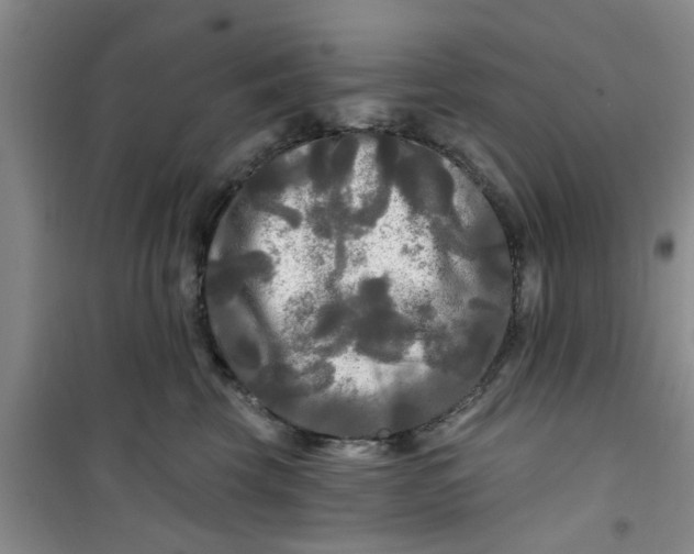 X0000100970569200807221212