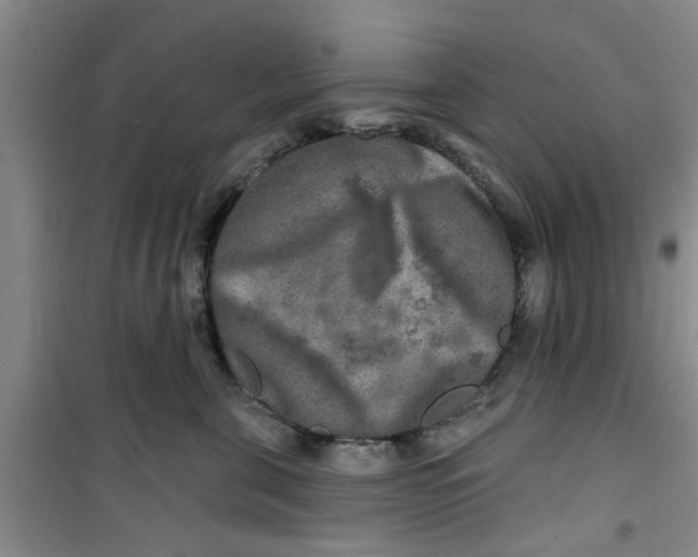 X0000100970571200807221212