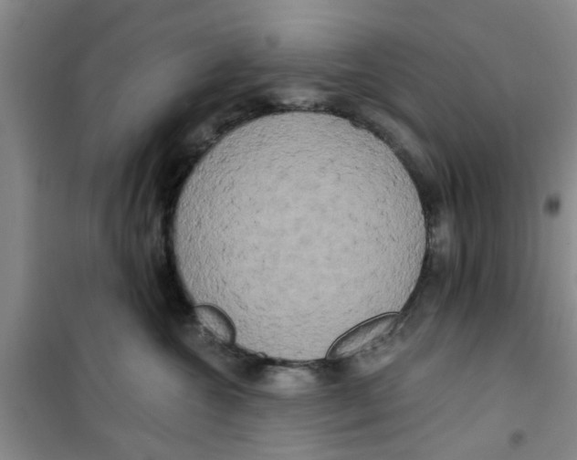 X0000100970572200807221212