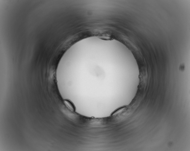 X0000100970574200807221212
