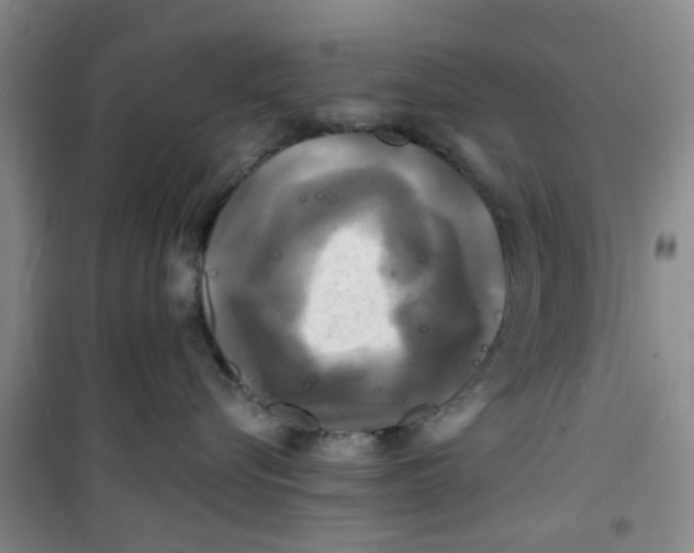 X0000100970576200807221212