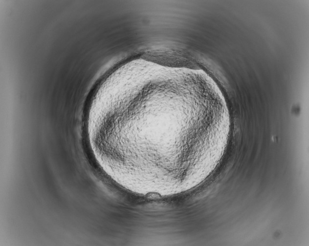 X0000100970578200807221212